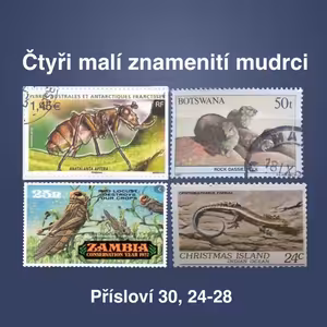 Čtyři malí znamenití mudrci - Bogdan Cichy (13.6.2021)