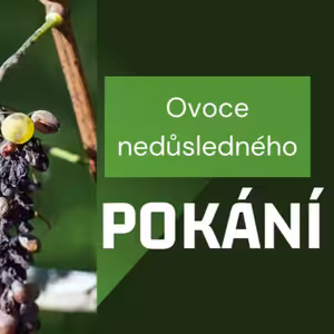 Ovoce nedůsledného pokání | Peter Bača