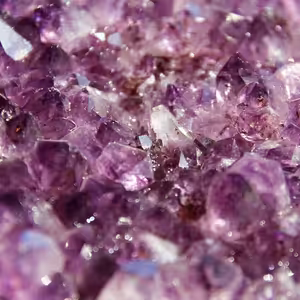 prof. JUDr. Ivo Telec, CSc. - Přírodní Léčivé Zdroje A Právo