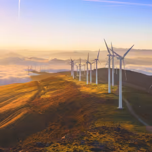 INESS do UCHA #68: Zelení, ale s rozumom