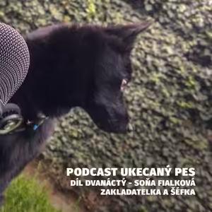 Rozhovor se Soňou Fialkovou, šéfkou Spokojeného Psa