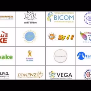 Institut Jana Kuciaka odhalil firmy ALLATRA