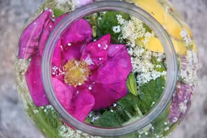 Lesní Stezkou #52 MyGreenovi aneb kouzlení v kuchyni