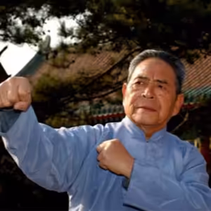 Mistr Feng Zhiqiang - O umění Tchaj-ťi čchüan