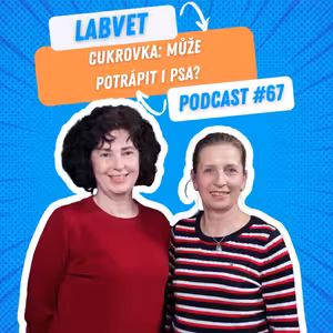 ❗CUKROVKA může potrápit i psa❗ | Labvet Podcast #67