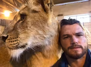 Staráme se o zvířátka, opravujeme vozový park a trénujeme. To čekání je dlouhé, poslední vystoupení jsme měli v říjnu, říká ředitel cirkusu Humberto Hynek Navrátil mladší