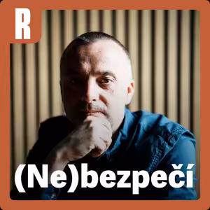 Musíme si položit otázku, co se děje v naší společnosti, když se i úplně mladí lidé uchylují k brutálnímu násilí. Ruku na srdce, dospělí by měli jít do sebereflexe