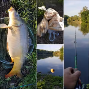 Už jste zkusili lov na "mlaskačku"?