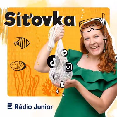 Síťovka