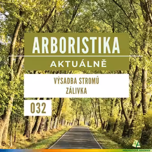 Výsadba stromů - zálivka - Arboristika aktuálně #032
