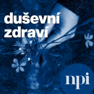 Psychologická podpora pro ředitele škol - II díl