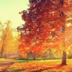 HOROSKOPY: Blíženci, řešíte jen sami sebe, začněte myslet i na druhé