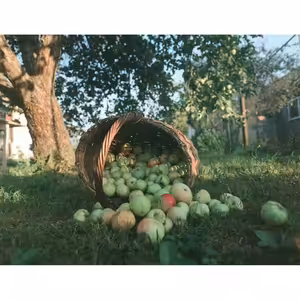 Všetko, čo chcete, aby ľudia robili vám, robte aj vy im