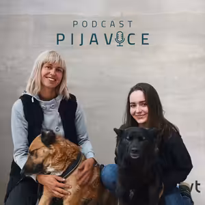 #66 Když pejsek dostane druhou šanci. Xenia a Veronika o záchraně i výcviku psů