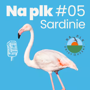 Na plk #05: O plameňácích, grifinech a jiných Sardiňácích