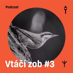 Vtáčí zob #3 — Brhlík obyčajný (Samuel Sabol, Jakub Lenart)
