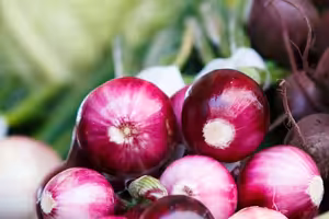 Lesní Stezkou #69 Fermentované potraviny – Jak je zařadit do jídelníčku?