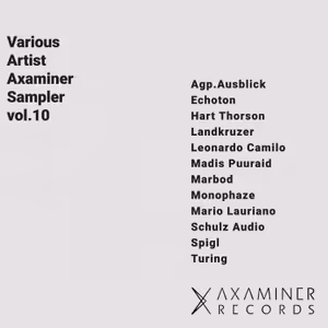 Various Artists - Axaminer Sampler vol.10