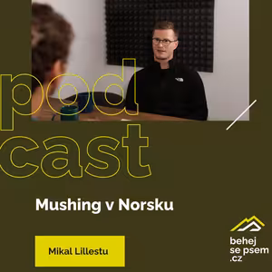 Mushing v Norsku | Mikal Lillestu