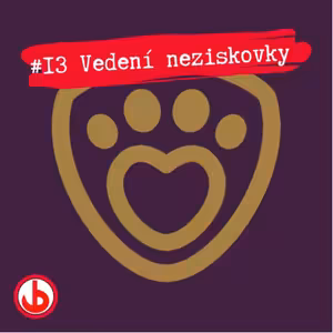 # 13 Vedení neziskovky a marketing