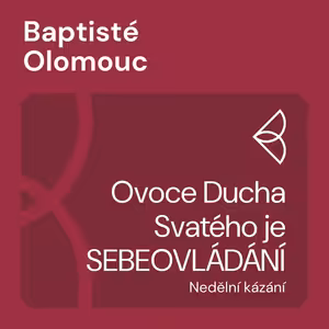 Ovoce Ducha Svatého je SEBEOVLÁDÁNÍ (23.8.2020)