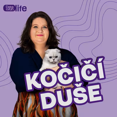 Kočičí duše