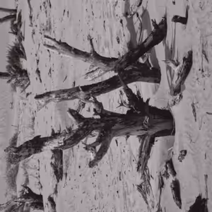 Martina Blažeková, Lom, Fra 2013