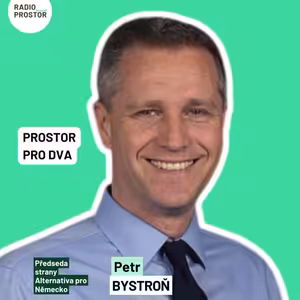 Petr Bystroň: Je tu snaha zlikvidovat AfD, odepřít jí finance a zbrzdit nástup k moci