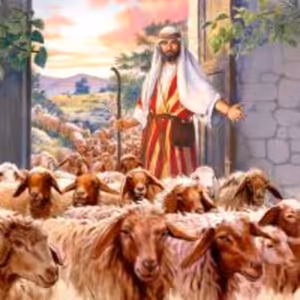 23.4.2023 2.nedeľa po Veľkej Noci (1.Pt 5,1-4) kázeň Poprad