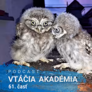 Na deň vtákov sa dajú nachytať aj odborníci na vtáky.