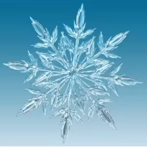 PENcast prosinec 2023