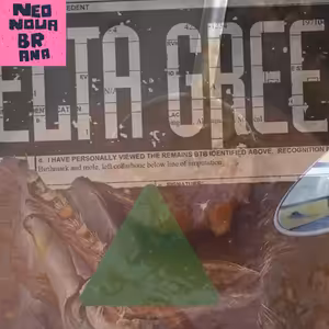 Gulas - Otazkovy RPG Special