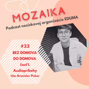 Mozaika 22 - Bez domova do domova I.