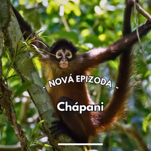 25: Chápani - nová éra čištění oken