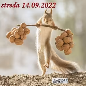 Tajomstvá zdravia 208 - 2022-09-14 Zdravá strava 34/2022