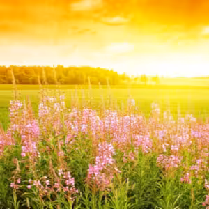 Dopoludnie na Infovojne s Adrianom 31.7.2023