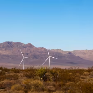 Sto let tradice a obnovitelná budoucnost. Akcie NextEra Energy patří do portfolia, říká Jakub Marcolla z WOOD & Company