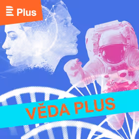 Kyberpodvody hrozí i při předvánočních nákupech na internetu