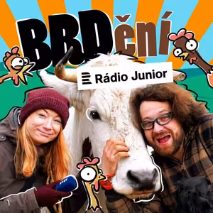 Jak vypadá dobrodružné noční zahánění dobytka? Podívejte se na video