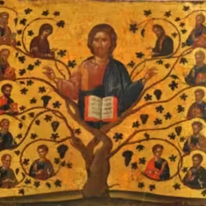 22.2.2021 Nájdenie úctyhodných pozostatkov svätých mučeníkov v Eugeniu