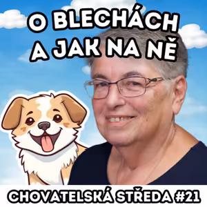 👩‍⚕️ O BLECHÁCH a jak na ně 👩‍⚕️ | Chovatelská středa #21