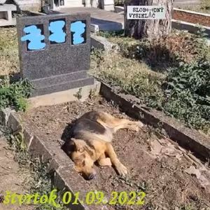 Spirituálny kapitál 425 - 2022-09-01 „Sloboda od modiel“