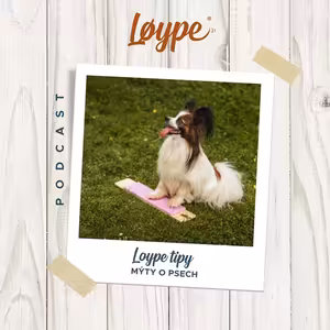 130 | Mýty o psech | Loype tipy