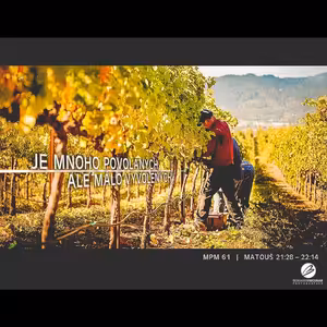 Mesiáš podle Matouše 61 - Je mnoho povolaných, ale málo vyvolených - Bohuslav Wojnar (22.6.2014)