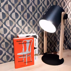 Zazie v metru #15: Radka Denemarková - Peníze od Hitlera