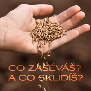 Co zaséváš? A co sklidíš? - Bogdan Walek (25.8.2024)