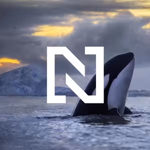 O kosatkách, které už nás mají plné zuby