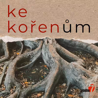 Ke kořenům