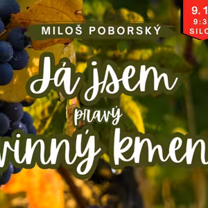 Já jsem pravý vinný kmen