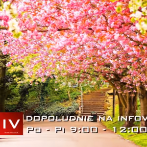 Dopoludnie na Infovojne s Adrianom 4.6.2025